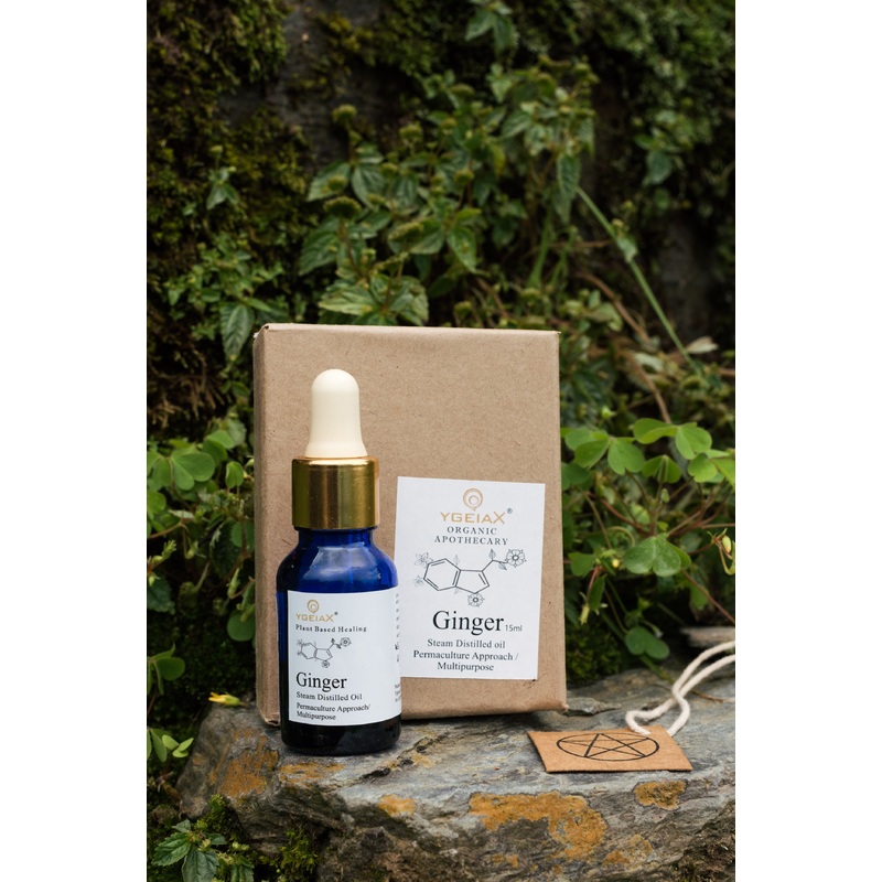 Ginger Steam Distilled Oil